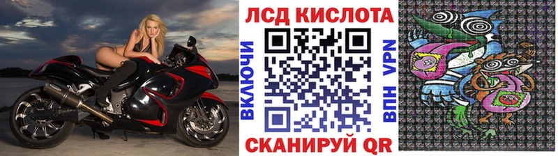 дарк нет какой сайт гидра зеркало Зерноград Марки NBOMe 1500мкг