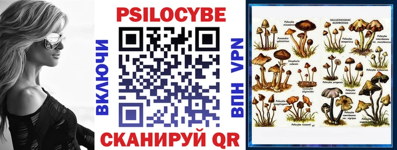 OMG   Зерноград  Галлюциногенные грибы Psilocybine cubensis 