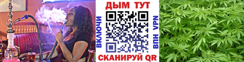Шишки марихуана OG Kush  купить закладку  Зерноград 